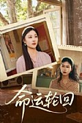 《命运轮回》封面