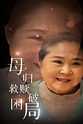 《母归救赎破困局》封面