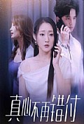 《真心不再错付》封面