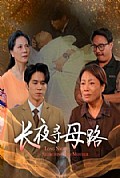 《长夜寻母路》封面