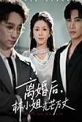 《离婚后林小姐光芒万丈》封面