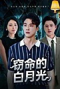 《窃命的白月光》封面