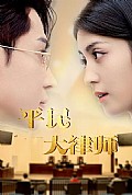 《平民大律师》封面
