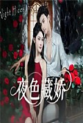 《夜色藏娇》封面