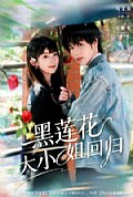 《黑莲花大小姐回归》封面