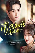 《南风知我意迟迟》封面