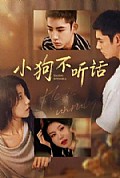 《小狗不听话》封面