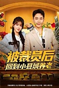 《被裁员后回到小县城养老》封面
