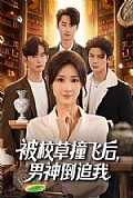 《被校草撞飞后男神倒追我》封面