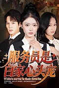 《服务员是白家心头宠》封面
