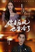 《你走后风也变冷了》封面
