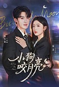 《小狗咬月亮》封面