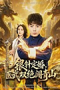 《银针定婚,医武双绝闯青山》封面