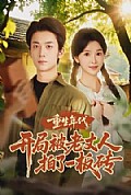 《重生年代开局被老丈人拍了一板砖》封面