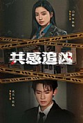 《共感追凶》封面