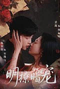 《明撩暗宠》封面