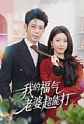 《我的福气老婆超能打》封面