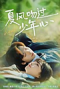 《夏风吻过少年心》封面