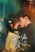 《命中偏爱你》封面