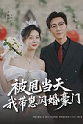 《被甩当天我带崽闪婚豪门》封面
