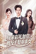 《接亲彩礼加倍，我反手娶乖乖女》封面