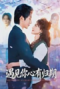 《遇见你心有归期》封面