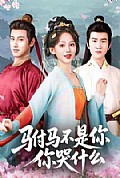 《驸马不是你，你哭什么》封面