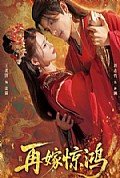 《再嫁惊鸿》封面