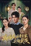 《离婚后，前妻全家追悔莫及》封面