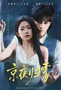 《京夜归雾》封面