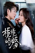 《栀栀屿婚》封面