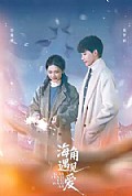 《海角遇见爱》封面