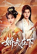 《娇夫在下》封面
