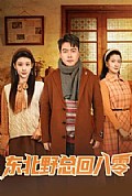 《东北野总回八零》封面