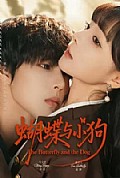 《蝴蝶与小狗》封面
