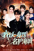 《我以一身骂名护海城》封面
