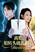 《离婚,姐转头就去相亲》封面