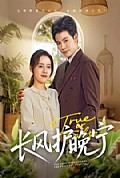 《长风护晚宁》封面