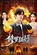 《修罗狂婿》封面