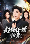 《超级狂婿归来》封面
