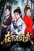 《在下不习武》封面