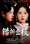《错折金枝》封面