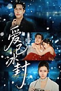 《爱已冰封》封面