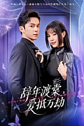 《辞年渡棠,爱抵万劫》封面