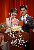 《婚后慢熟》封面