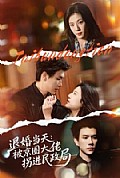 《退婚当天:被京圈大佬拐进民政局》封面