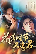 《花落时节又逢君》封面