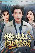 《我就一水电工,你让我修大坝》封面