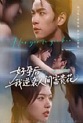 《好孕后我逆袭人间富贵花》封面