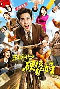 《东北年代之硬核护妈》封面